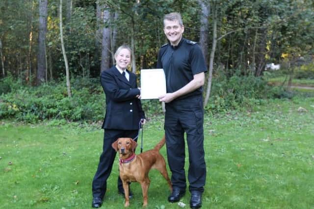 PD Sadie is one of the latest members to the dog team. Pictured with handler PC Louise Roberts and Inspector Tim Ringer.