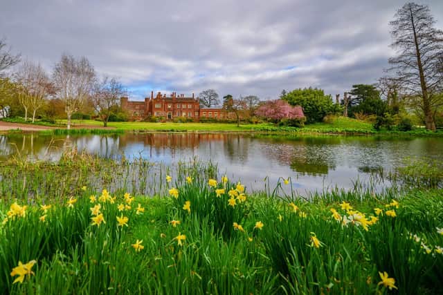 The snowdrops and bluebell events at Hodsock Priory will not be going ahead in 2022.