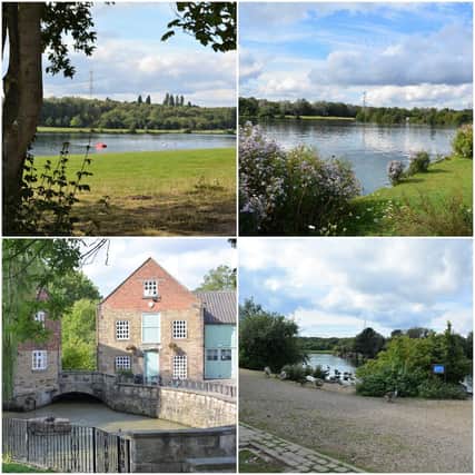 Some of the stunning views you will see on this walk around Rother Valley Country Park (pictures Sally Outram)
