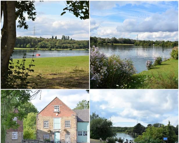 Some of the stunning views you will see on this walk around Rother Valley Country Park (pictures Sally Outram)