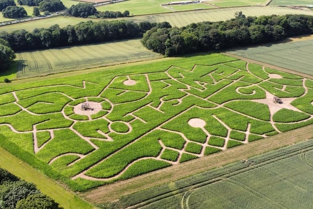 The Notts Maze is set within 12 acres of land just down the road at Little Lane in Arnold. If you haven't been, give it a go because it is terrific fun for all ages. Pathways span more than two-and-a-half miles, with lots of hidden activities along the way. You can use a map or complete the challenge unaided but, whatever happens, you can finish your trip with a drink and a snack at the on-site bar and cafe.