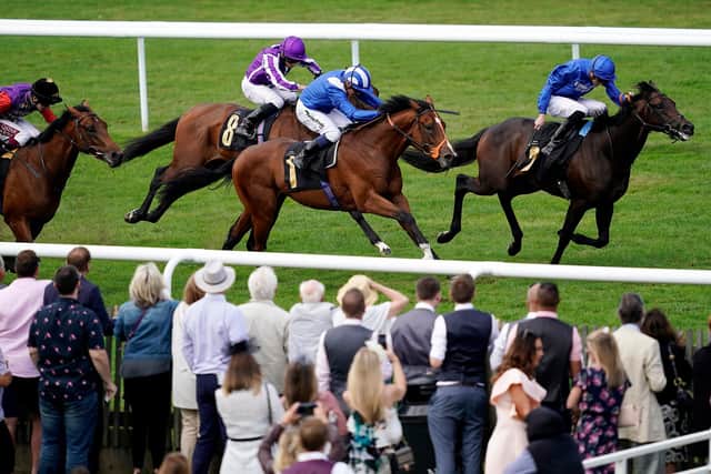 (AL MADHAR) – Al Madhar, one of Richard Hannon’s brightest 3yo prospects, wins on his debut at Newmarket last season. (Photo by Alan Crowhurst/Getty Images)