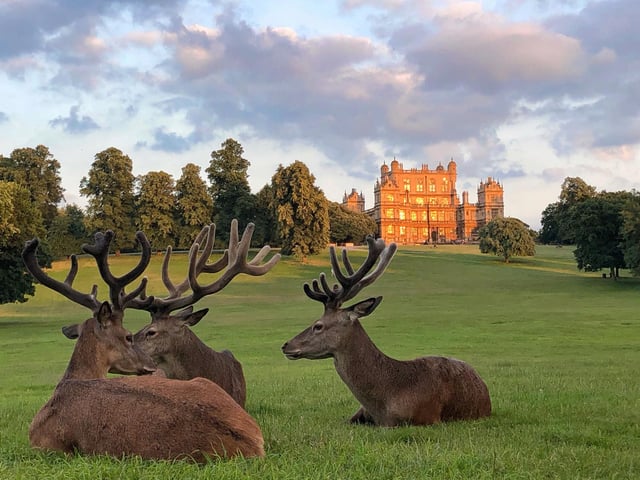 Wollaton Hall, in Wollaton Park, Nottingham is one of many beautiful landmarks in the county. The house is now Nottingham Natural History Museum, with Nottingham Industrial Museum in the outbuilding. The playground can be found near the main entrance, alongside the 508 café.