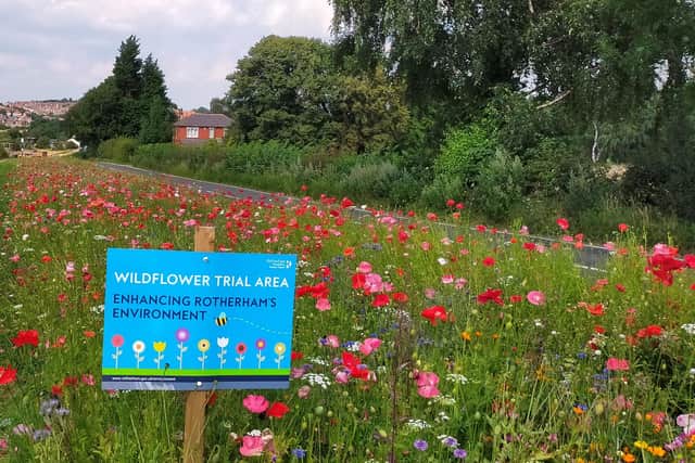 More than three miles of colourful wildflowers have been planted along the roadsides