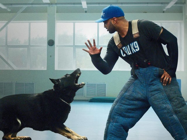 Documentary Canine Intervention follows renowned Oakland dog trainer, Jas Leverette, as he runs Cali K9, one of the top dog training facilities in California. Using his unique training methods and techniques, each episode will feature Jas as he works with a variety of dogs and their owners to fix their obedience and behavior issues. Jas works with all breeds, he's never turned a dog away, and he can correct even the most extreme behavior issues.