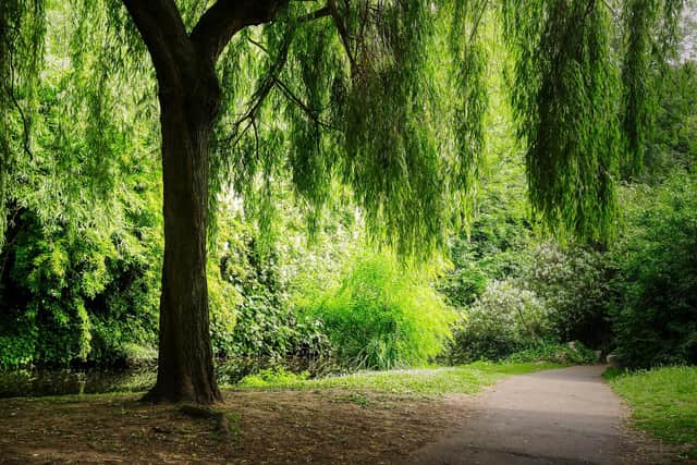 The charity Mind says having everyday access to green spaces can help improve people's mood and reduce stress