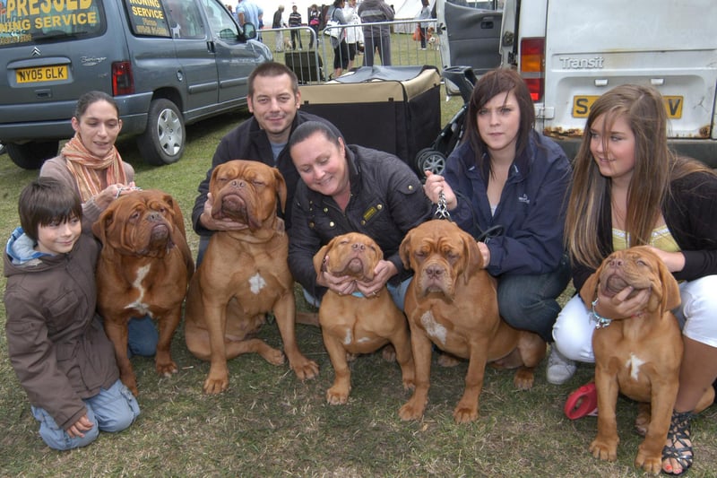 French Mastifs from left are Frenchie, Lacey, Eric, Rain and Halo.  Pictured with James Dalton, nine, Helen Jessop, Paul Lewis, Katie Lewis, Amy Wall and Reece Wall at Worksop Festival at Kilton Forest Recreation Ground.