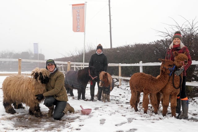 Owner Bev Griffiths, Paisley Cooper, Head Girl and Louise Huby, Yard Manager, pictured with some of the animals at Equine Dreams. Picture: NDFP-02-02-21-EquineDreams 12-NMSY