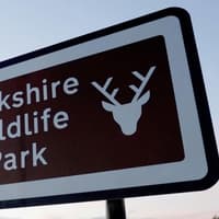Man in tragic tiger incident at wildlife park was observed by Retford woman