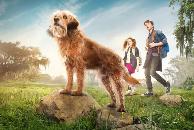 A modern day retelling of the classic, the story of Benji follows one orphaned puppy and Carter and Frankie, two capricious New Orleans school kids who strike up a friendship with the tenacious street dog. When danger befalls them and they end up kidnapped by robbers who are in over their heads, Benji and his scruffy sidekick come to the rescue.