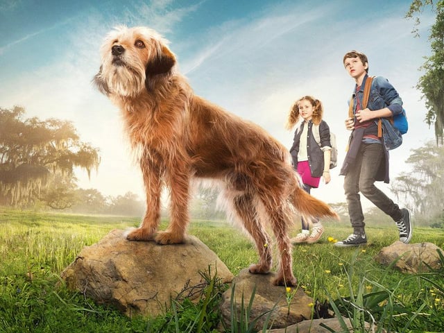 A modern day retelling of the classic, the story of Benji follows one orphaned puppy and Carter and Frankie, two capricious New Orleans school kids who strike up a friendship with the tenacious street dog. When danger befalls them and they end up kidnapped by robbers who are in over their heads, Benji and his scruffy sidekick come to the rescue.