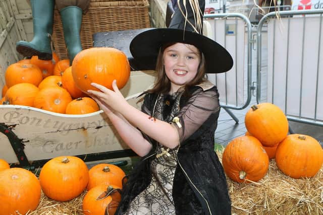Eliza Perry picking her own pumpkin at Worksop's Pumpkin Patch day.
