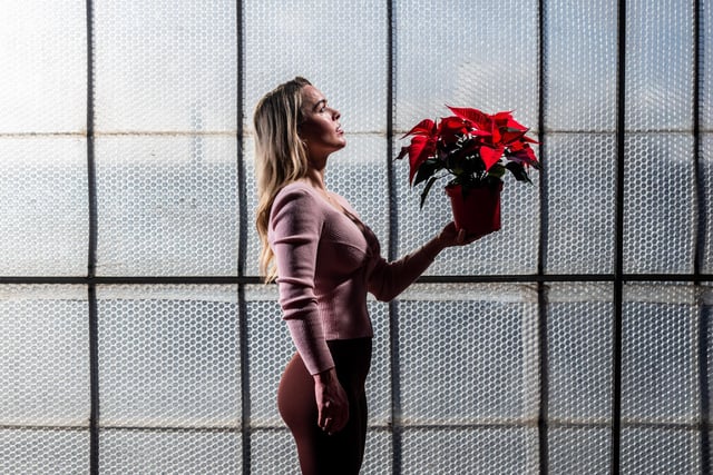 Rebecca Ward, sales manager at Darfoulds Garden Centre, with one of the poinsettias.