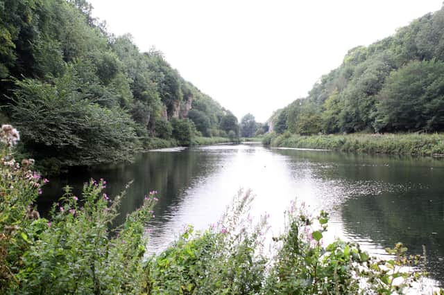 Creswell Crags is under threat of closure from lost revenue due to coronavirus. Photo: Marisa Cashill