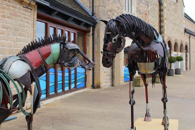 Two commissioned horse sculptures, made out of recycled materials collected from the  Welbeck estate, mark the start of the trail. They have been crafted by artist Michelle Reader,