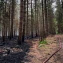 A fire at Sherwood Pines on July 11 took out an area of forestry of 40,000sqm. Credit: Shirebrook Fire Service
