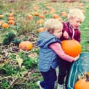 Kids picking pumpkins is a surefire sign that Halloween is just around the corner, so let's whet your appetite for getting out and about with this guide to things to do and places to in your area over the coming few days.