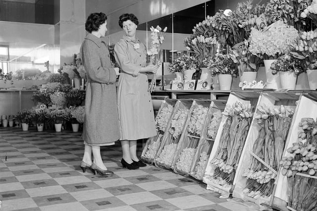 Staff prepare for the first day of opening at Rankins' Flowers and Fruit's new shop at 80 Princes Street in March 1960.