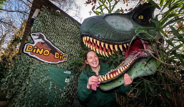 Get ready for some Roarsome fun at the Tropical Butterfly House and discover the fun Dino Trail packed with clawsome challenges for the brave that will have you quaking in your boots and roaring with laughter! Complete the challenge sheet to claim your sweet treat reward!
From digging for fun fossil finds at the Dino Dig to climbing inside a giant dinosaur egg, you'll come face to face with ferocious and friendly prehistoric friends as you stomp along the way.
The wildlife park is open every day throughout the February half term school holiday 10am to 5pm. Admission prices apply