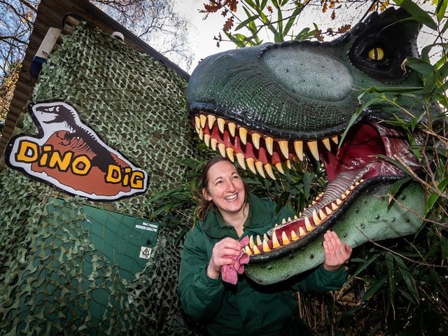 Get ready for some Roarsome fun at the Tropical Butterfly House and discover the fun Dino Trail packed with clawsome challenges for the brave that will have you quaking in your boots and roaring with laughter! Complete the challenge sheet to claim your sweet treat reward!
From digging for fun fossil finds at the Dino Dig to climbing inside a giant dinosaur egg, you'll come face to face with ferocious and friendly prehistoric friends as you stomp along the way.
The wildlife park is open every day throughout the February half term school holiday 10am to 5pm. Admission prices apply