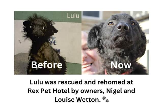 Lulu was rescued by Rex Pet Hotel owners, Nigel and Louise Wetton.