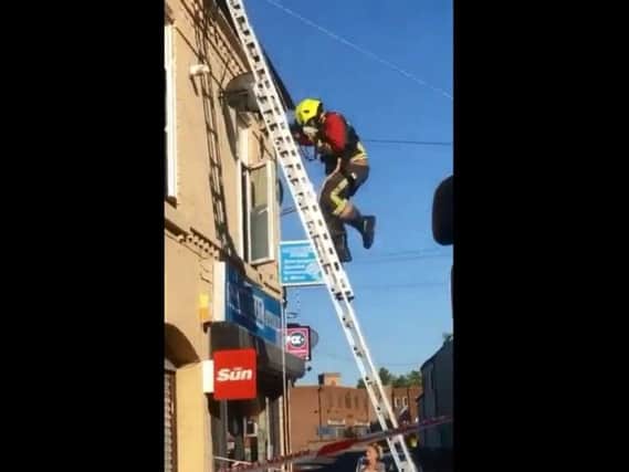 Firefighters had to climb to fetch the pet.