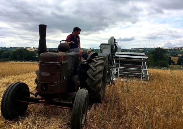 The Nottinghamshire group of the National Vintage Tractor & Engine Club will be holding their annual working weekend near Retford over the August Bank Holiday.