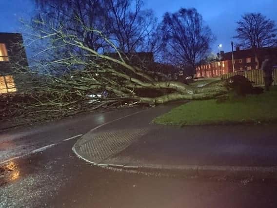The Met Office said trees could fall.