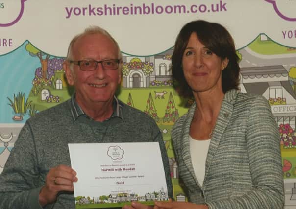 Council chairman, Coun Ian Lloyd, receives the In Bloom gold award for Harthill with Woodall.