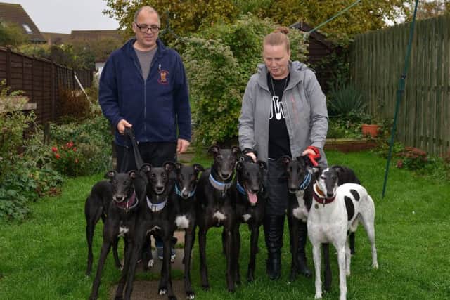 Greyhound Rescue Centre at Blyton