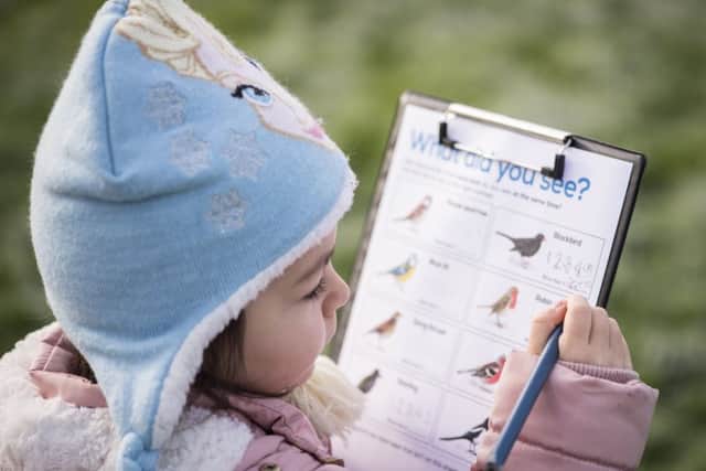 Pupils record which birds they have seen and send the results to the RSPB. Photo: Eleanor Bentall