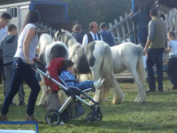 Picture: Kenilworth Gypsy Horse Fair, Facebook.