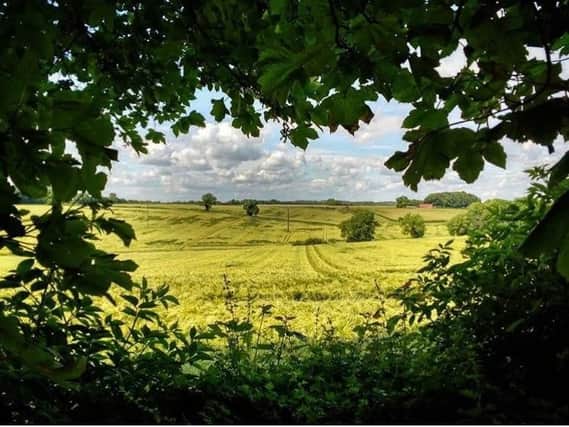 This summery shot of Teversall was taken by Instagram user @ayup_me_duck. Tag us at @chadnews to feature