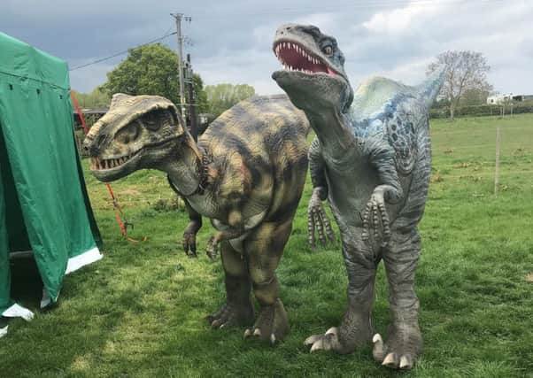 Tricksy and Blue, the dinosaurs ready to roar at a boat-race fundraiser staged by Bluebell Wood Childiren's Hospice.