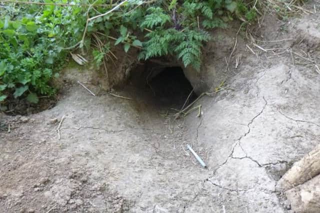 The two men were spotted by a gamekeeper. Photo: RSPCA.