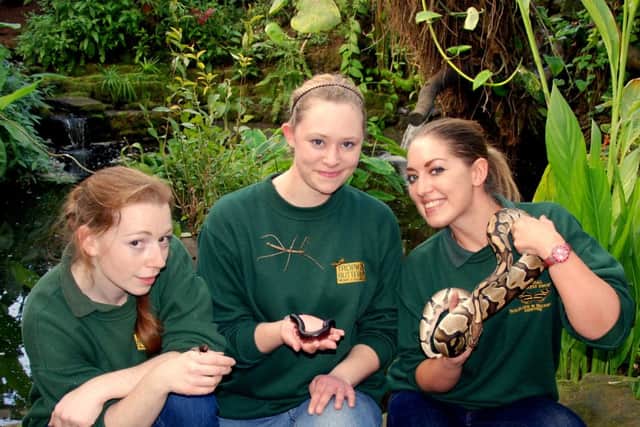 Animal keepers Laura Martin, Amanda Sharpe and Heather Scott will be taking part in the challenge