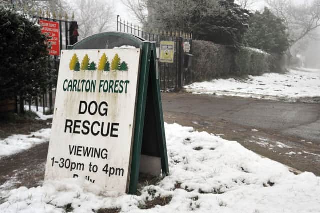 Carlton Forest Kennels, Blyth Road, Worksop