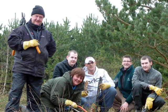 Volunteers undertaking heathland restoration work on Manton Pit Wood