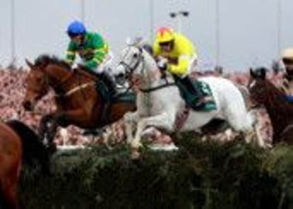NEPTUNE COLLONGES on his way to landing last year's Grand National, becoming the first grey to win the race since 1961.