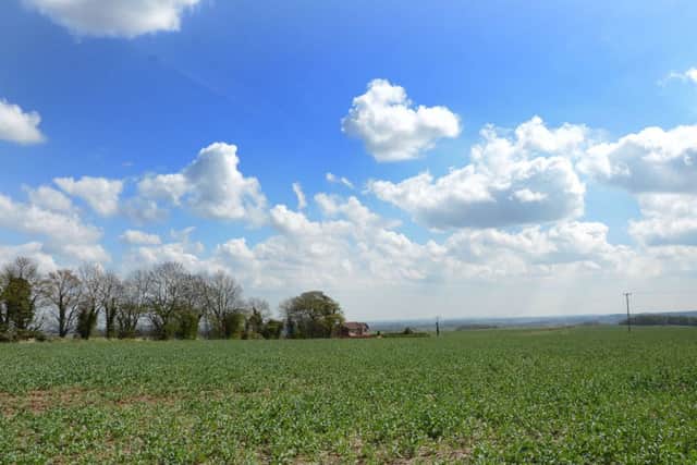 Greenland on Swinston Hill Road in Dinnington G130502-1b