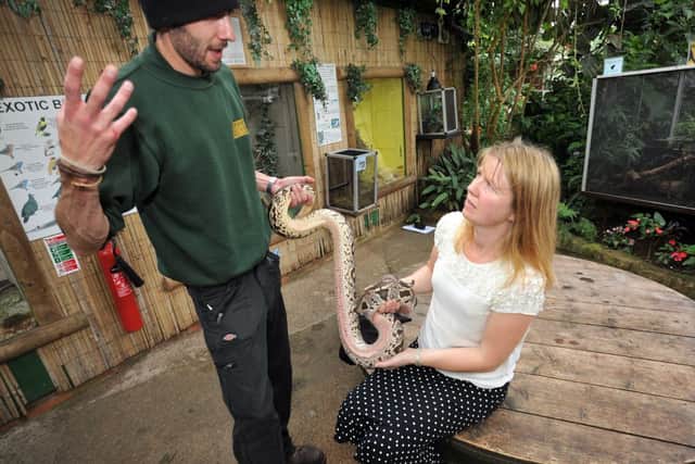 Feature on "Face Your Fears" experience at Tropical Butterfly House, animal keeper Ben Coulson and features writer Helen Johnston with a Dumerils Boa (w130528-1m)