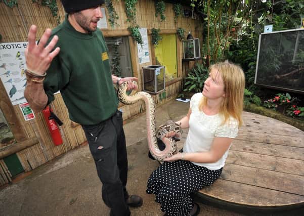 Feature on "Face Your Fears" experience at Tropical Butterfly House, animal keeper Ben Coulson and features writer Helen Johnston with a Dumerils Boa (w130528-1m)