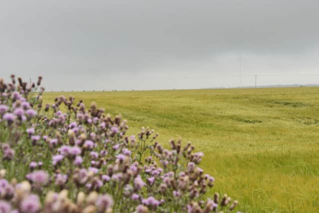 Proposed site for a wind farm near Hemswell Cliff G120710-1c