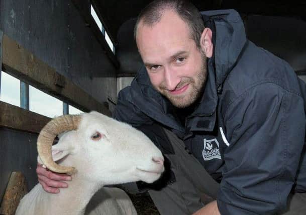 Ulley Country Park's Country Fair, Aran Atkinson on the Notts Wildlife Trust area with a friendly Ram. (w130624-2c)