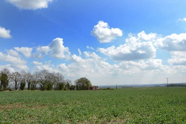 Greenland on Swinston Hill Road in Dinnington G130502-1b