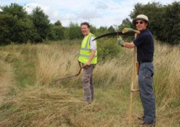 Coun David Dobbie learns how to use a scythe in Theaker 
Avenue Nature Reserve with regular TCV volunteer Paul Goss.