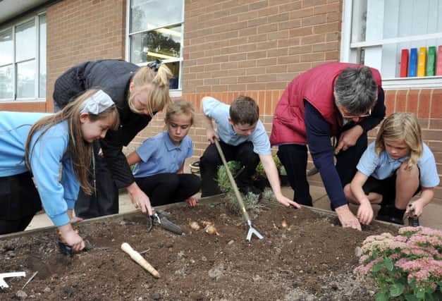 Pupils at St Anne's Primary School in Worksop taking part in a planting session with members of Worksop & District U3A