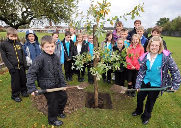 Children of Whites Wood Academy school council helped plant an oak tree to celebrate becoming an academy (w131014-6a)