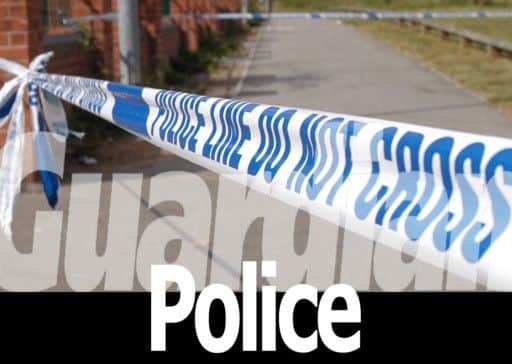 Guardian Police logo