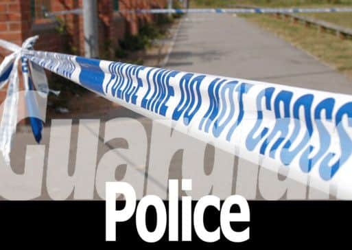 Guardian Police logo